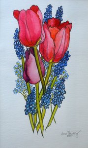 Tulipany, Muscari i Forget-me-nots,2002, autorstwa Joan Thewsey