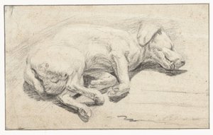 Leżący pies, śpiący autorstwa Joannes Fijt (attributed to)