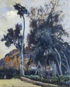 Miravet autorstwa Joaquim Mir i Trinxet