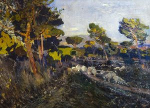 Nieuprawny autorstwa Joaquim Mir i Trinxet