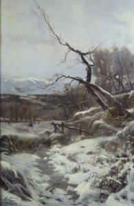 Zima autorstwa Joaquim Mir i Trinxet
