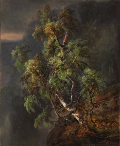 Brzoza podczas burzy autorstwa Johan Christian Dahl
