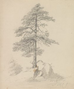 Sosny i skały autorstwa Johan Christian Dahl