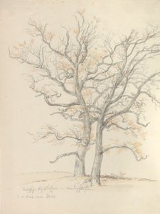 Dwa dęby autorstwa Johan Christian Dahl