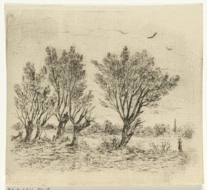 rząd wierzby autorstwa Johan Frederik Croockewit