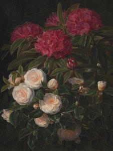 Kamelie i rododendrony – Johan Laurentz Jensen