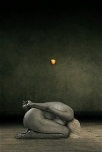 Ukryj siebie, 2013 (obróbka zdjęć) autorstwa Johan Lilja