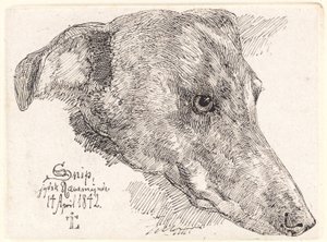 Duński: Hundehoved, Snip