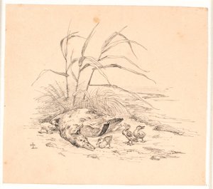 Zabita dzika kaczka. Ilustracja do "Bajek dla dzieci" Kaalunda. Zobacz komentarz z katalogu arkuszy. autorstwa Johan Thomas Lundbye