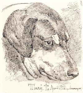 Hundehoved, Terry autorstwa Johan Thomas Lundbye