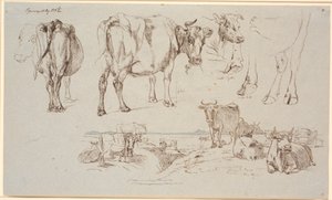 Czasopismo Study z Vognserup. Powyższe badania krów, f.n. krajobraz ze stojącymi i leżącymi krowami autorstwa Johan Thomas Lundbye