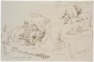 Czasopismo Study z Vognserup. T. v. pasterz (stary Rasmus Larsen) siedzący z psem przy stawie. Narodziny studium krajobrazu z nazwami miejscowości. W tym dwie świnie. T.m.f. badanie trzcin w jeziorze. W tym królewska roślina świec i badanie lochy autorstwa Johan Thomas Lundbye