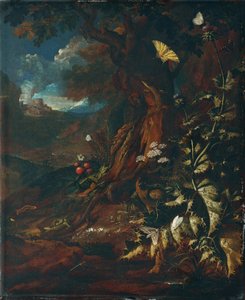 Krajobraz z gadami i owadami (I) autorstwa Johann Adalbert Angermayer
