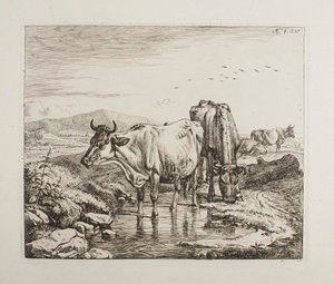  autorstwa Johann Adam Klein
