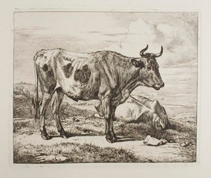  autorstwa Johann Adam Klein