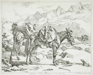  autorstwa Johann Adam Klein