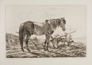  autorstwa Johann Adam Klein