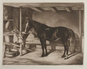  autorstwa Johann Adam Klein