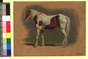 Pferdestudie autorstwa Johann Adam Klein