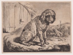 Siedzący pies autorstwa Johann Adam Klein