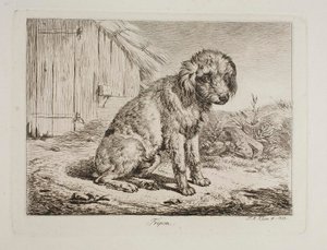  autorstwa Johann Adam Klein