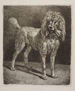  autorstwa Johann Adam Klein