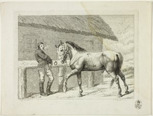 Szkoła jeździecka i konie autorstwa Johann Adolph Darnstedt