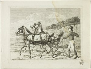 Szkoła jeździecka i konie autorstwa Johann Adolph Darnstedt
