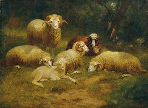 owce autorstwa Johann Baptist Hofner