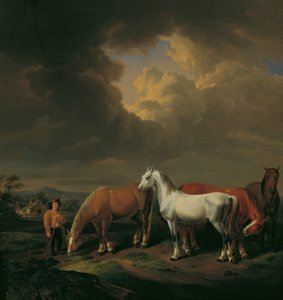 Pięć koni hodowlanych autorstwa Johann Baptist Michael Dallinger von Dalling