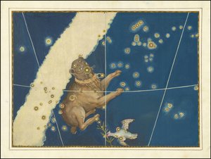 Canis Major - Johann Bayer autorstwa Johann Bayer
