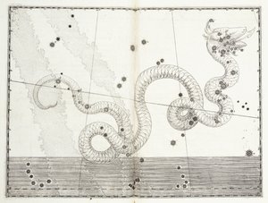 Konstelacja Głowy Węża i Ogonu Węża, ok. 1603