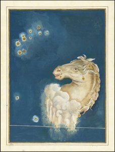 Equuleus - Johann Bayer autorstwa Johann Bayer