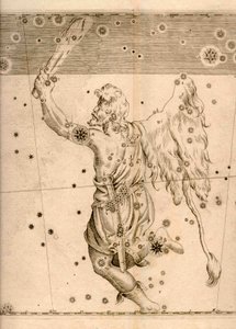 Uranometria (1661) przedstawiająca konstelację Oriona