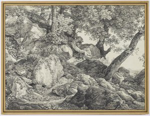 W parku Palazzo Chigi, Ariccia, 1818 (grafitowo-czarna kreda na papierze wykładanym) autorstwa Johann Christian Reinhardt