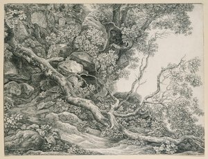 Drzewa na skalistym zboczu autorstwa Johann Christian Reinhart
