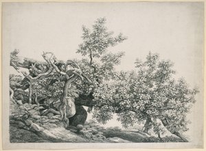 Studium drzewa. Przewrócony pień z odsłoniętymi korzeniami autorstwa Johann Christian Reinhart