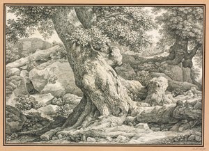  autorstwa Johann Christian Reinhart