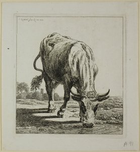 Picie krów, z Die Zweite Thierfolge autorstwa Johann Christian Reinhart