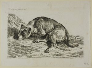 Kładzenie się psa, z „Drugiej sukcesji złodzieja” autorstwa Johann Christian Reinhart