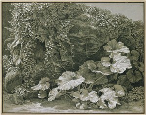 Rośliny o dużych liściach przy skalnej grocie porośniętej bluszczem autorstwa Johann Christian Reinhart