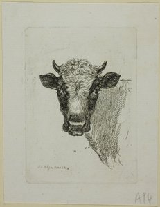 Głowa młodego byka, z Die Zweite Thiernahme autorstwa Johann Christian Reinhart