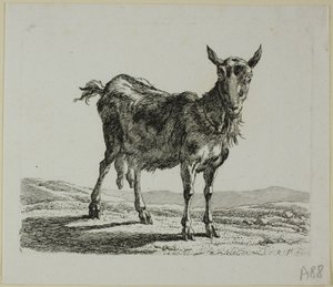 Stojąca Koza, z Die Zweite Thiernahme autorstwa Johann Christian Reinhart
