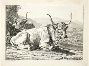 Dwa rzymskie byki odpoczywające, z Die Zweite The Erfolge autorstwa Johann Christian Reinhart