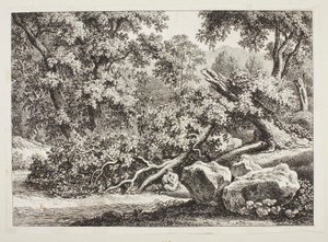 Scena leśna z połamanym dębem autorstwa Johann Christian Reinhart