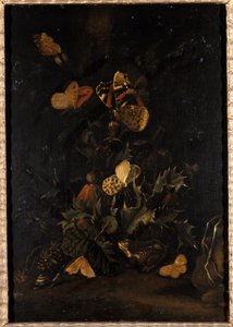 Kwiaty z motylami i ropuchą (olej na dębie) autorstwa Johann Christian Thomas Winck