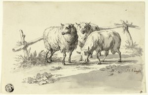 Owce autorstwa Johann Christoph Kimpfel