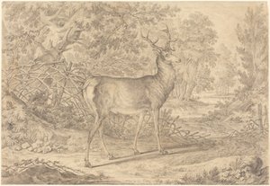  autorstwa Johann Elias Ridinger