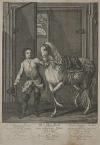Nowa Szkoła Jeździectwa