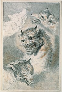 Cztery wilcze głowy autorstwa Johann Elias Ridinger